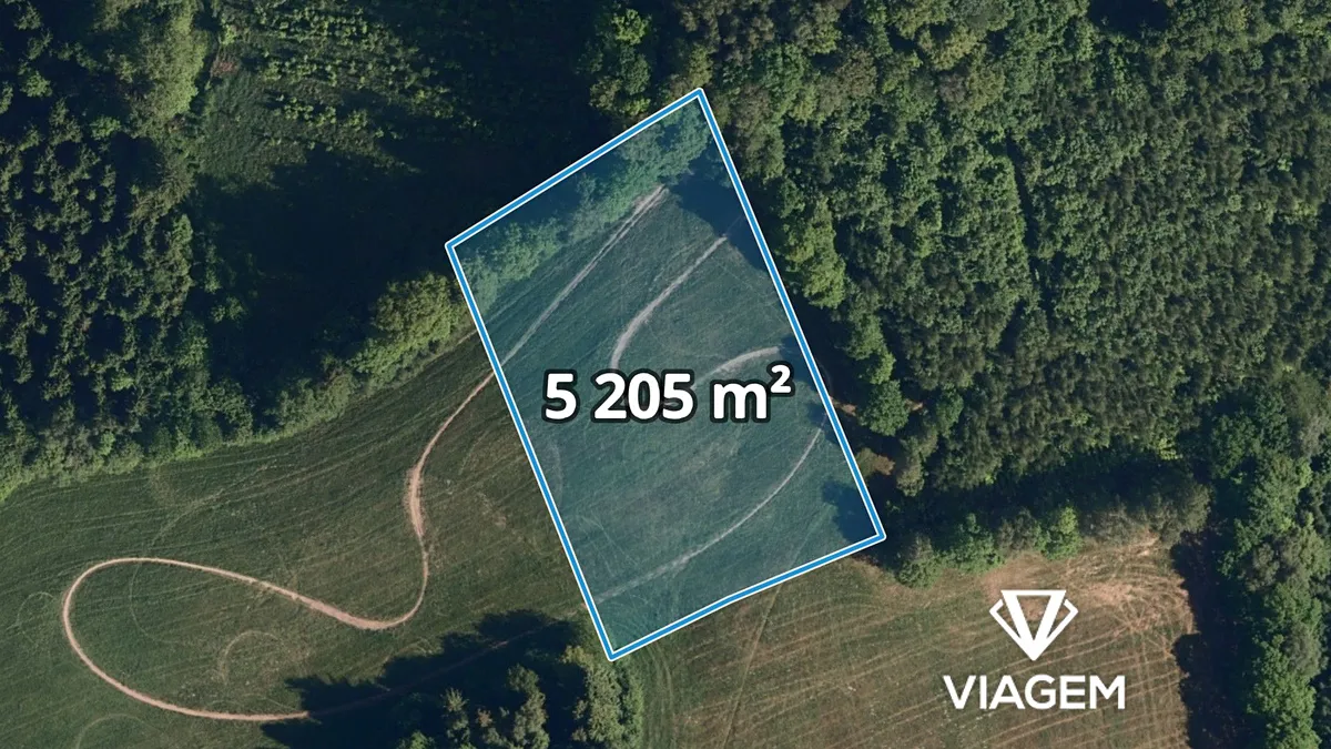 Prodej podílu 1/4 pole 1301 m²